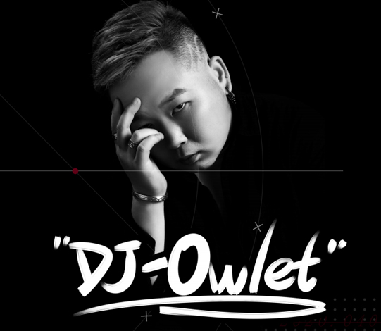 DJ导师：Owlet